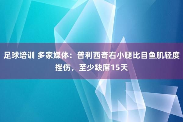 足球培训 多家媒体：普利西奇右小腿比目鱼肌轻度挫伤，至少缺席15天