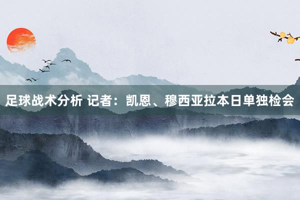 足球战术分析 记者：凯恩、穆西亚拉本日单独检会