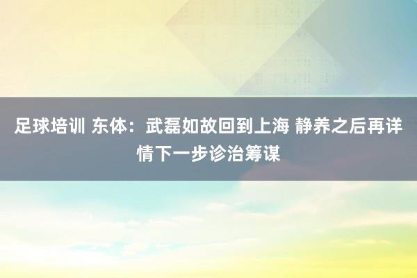 足球培训 东体：武磊如故回到上海 静养之后再详情下一步诊治筹谋