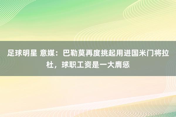 足球明星 意媒：巴勒莫再度挑起用进国米门将拉杜，球职工资是一大膺惩